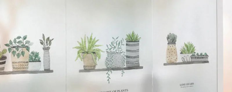 粘在玻璃上的贴纸怎么去掉