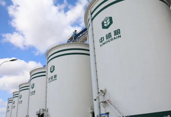 吉林一粮库玉米存在虫眼问题，这是由于什么原因导致的？