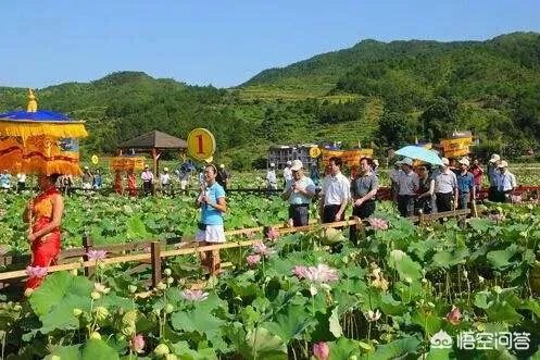 2018年农业的商机有哪些？