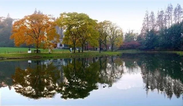 杭州的太子湾公园好玩吗？是否值得周末去玩？