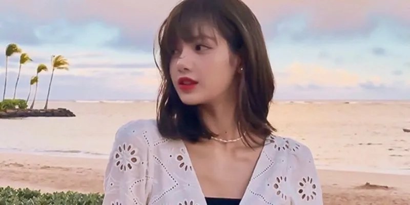 lisa多高多重及资料