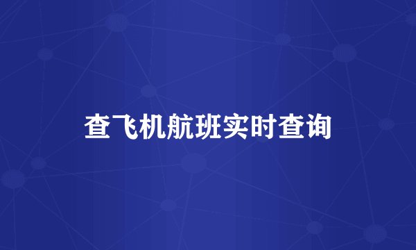 查飞机航班实时查询
