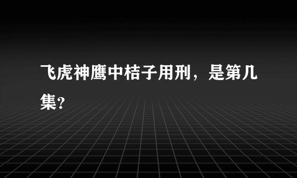 飞虎神鹰中桔子用刑，是第几集？