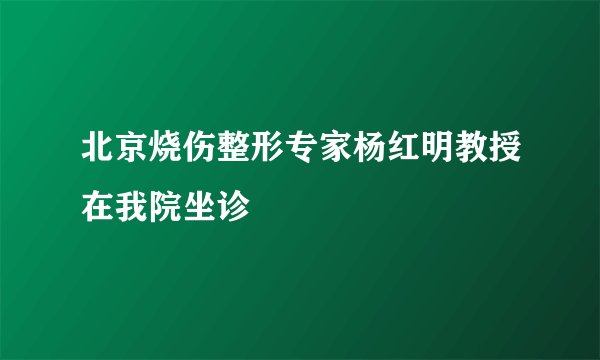 北京烧伤整形专家杨红明教授在我院坐诊