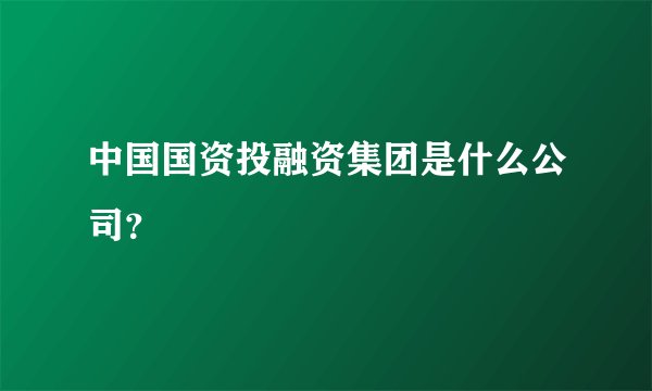 中国国资投融资集团是什么公司？