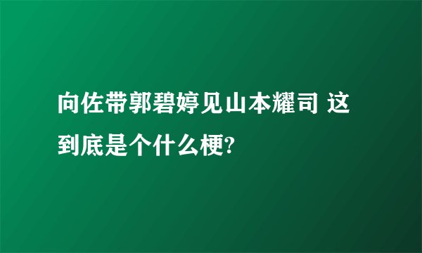 向佐带郭碧婷见山本耀司 这到底是个什么梗?