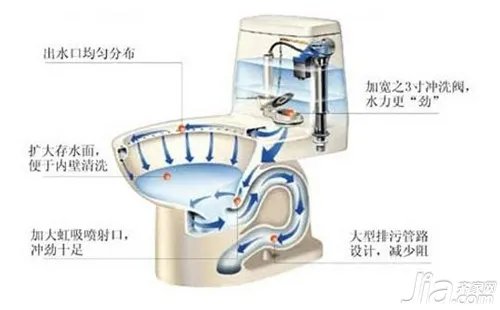 马桶的选购 虹吸式马桶结构图