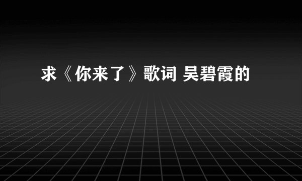 求《你来了》歌词 吴碧霞的