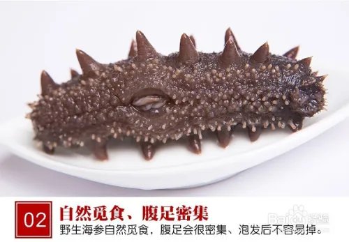 海参怎么泡发?海参泡发详解