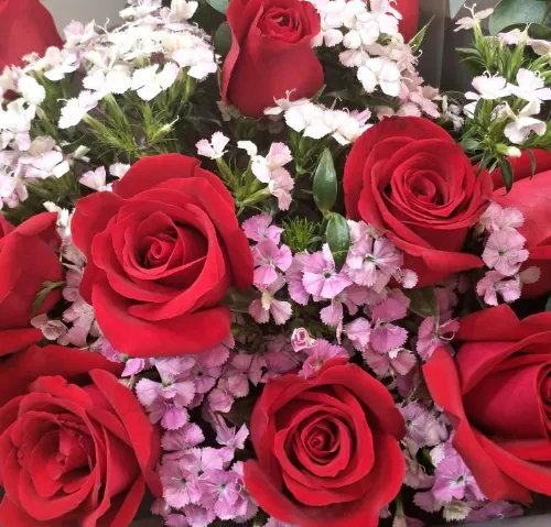 第一次送花应该送多少朵 第一次送花送什么花比较好