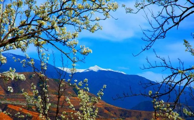 成都包车到拉萨大约需要多少费用?