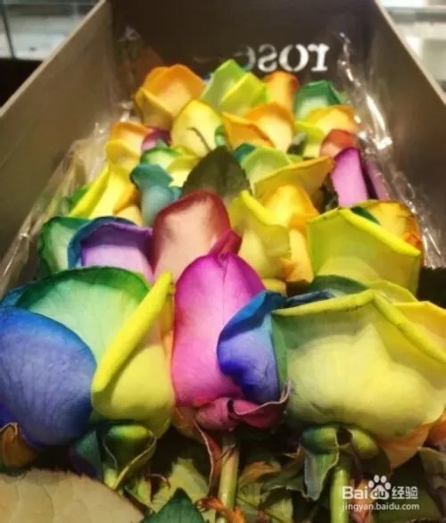 网上订购鲜花哪里好