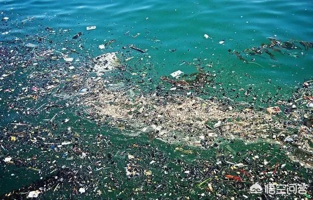 海上垃圾岛面积究竟有多大?