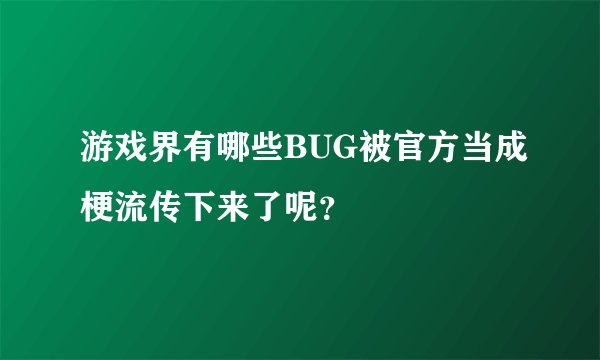游戏界有哪些BUG被官方当成梗流传下来了呢？