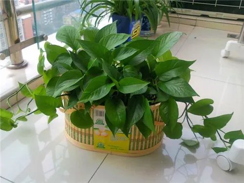 装修空气检测方法 国家认证专业空气检测机构