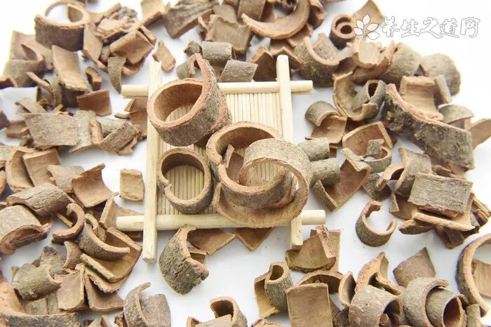 爱偷吃的生肖是哪一个