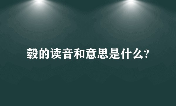 毂的读音和意思是什么?