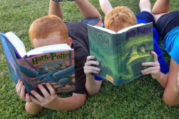 沈石溪山林之王读后感？