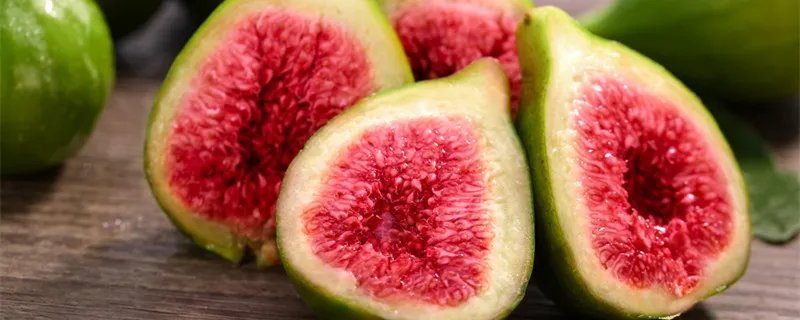 无花果为什么被叫做无花果  无花果为什么叫做无花果
