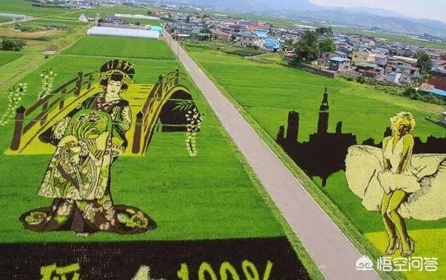 2018年农业的商机有哪些？