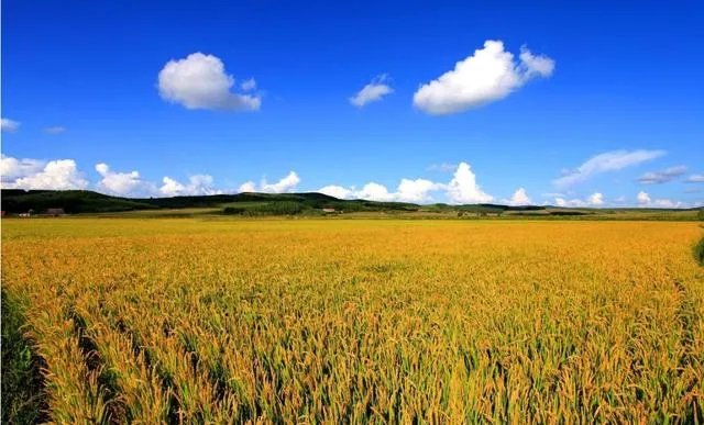 松原有哪些特产？