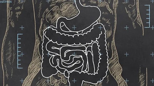 谷氨酰胺胶囊说明书