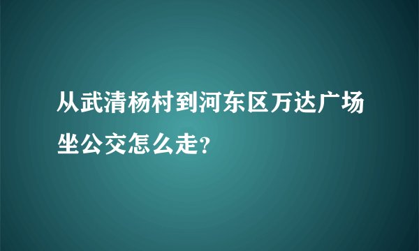 从武清杨村到河东区万达广场坐公交怎么走？