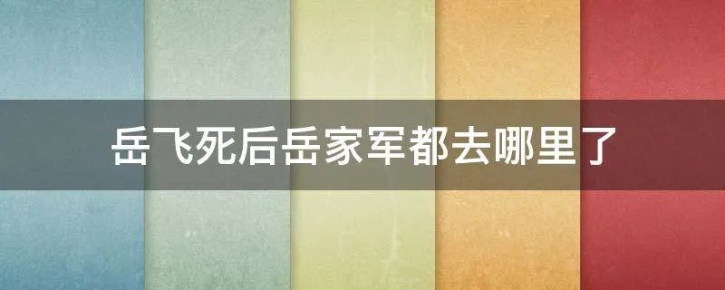岳飞死后岳家军都去哪里了