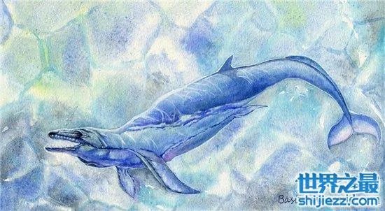 伊西斯龙王鲸是一种远古生物，曾是海洋中的霸主 