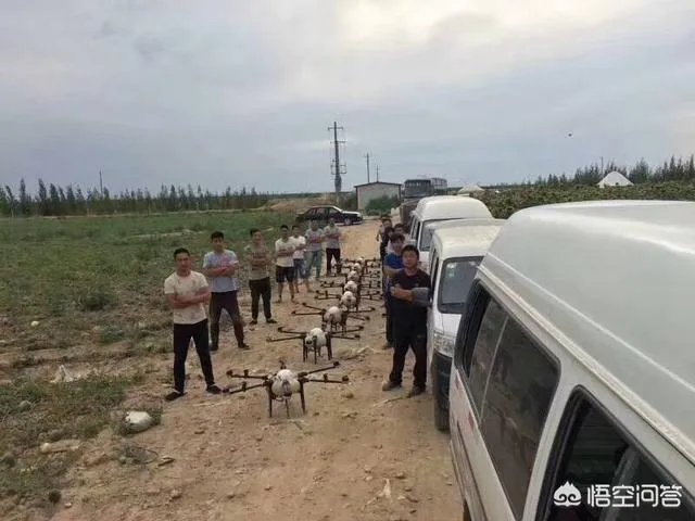 2018年农业的商机有哪些？