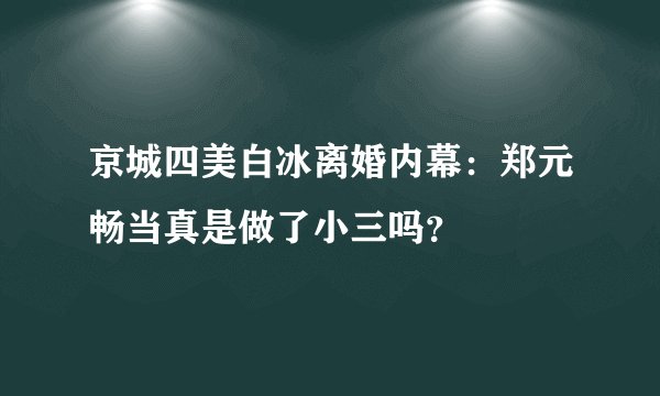 京城四美白冰离婚内幕：郑元畅当真是做了小三吗？