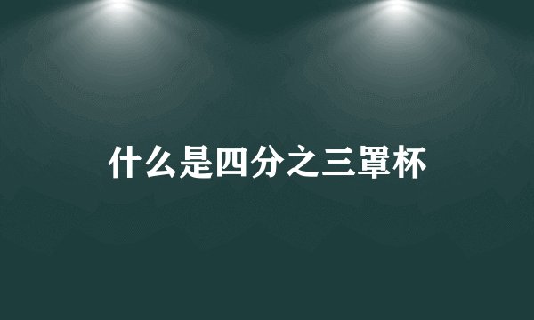 什么是四分之三罩杯