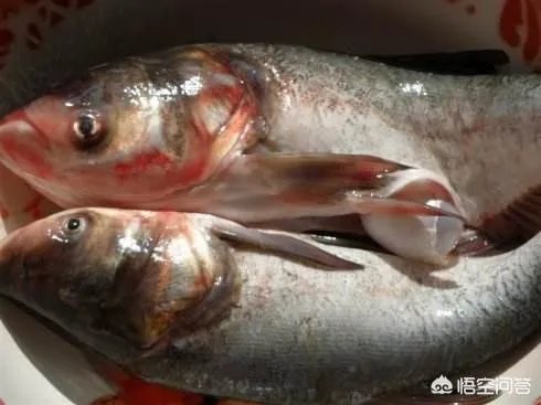 剁椒鱼头蒸多少分钟肉质最鲜嫩？