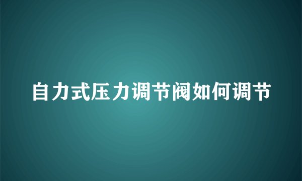 自力式压力调节阀如何调节