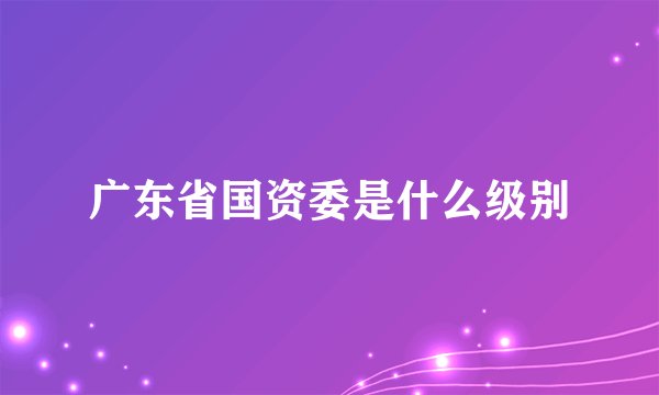 广东省国资委是什么级别