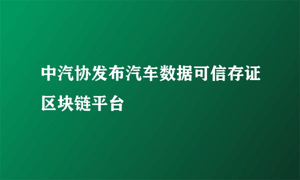 中汽协发布汽车数据可信存证区块链平台