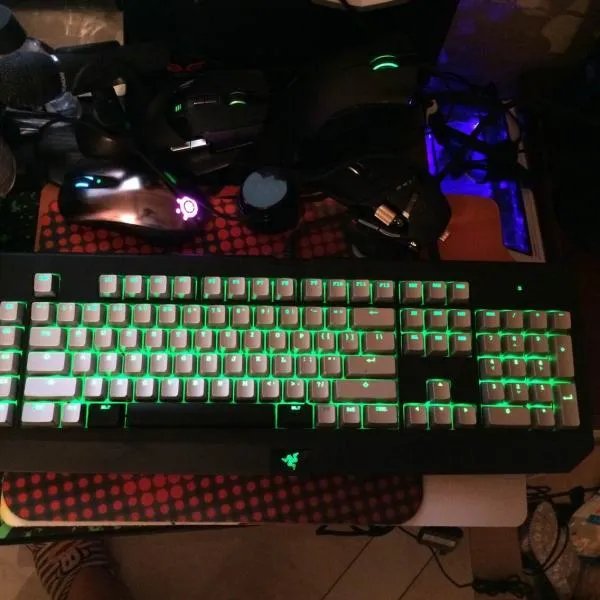 雷蛇黑寡妇什么轴好用，各自都有什么特点