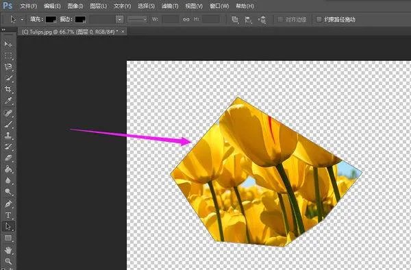 利用编码的方法进行二维裁剪时有哪些判断规则