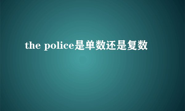 the police是单数还是复数