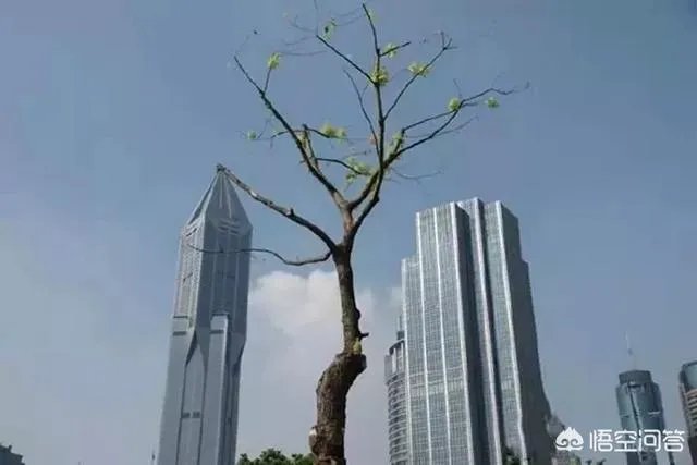 小白怎么学习摄影？