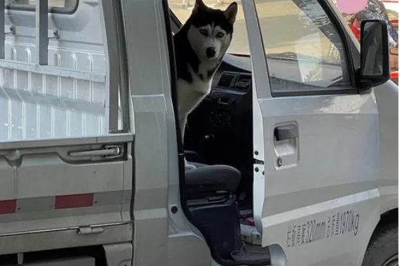 伸组词和部首结构