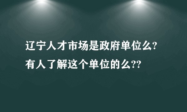 辽宁人才市场是政府单位么?有人了解这个单位的么??