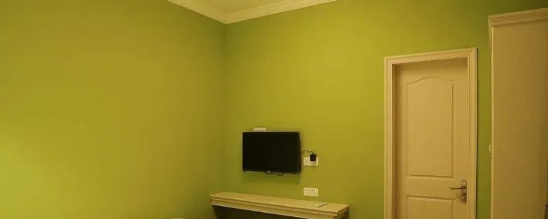 墙面漆和乳胶漆有什么区别