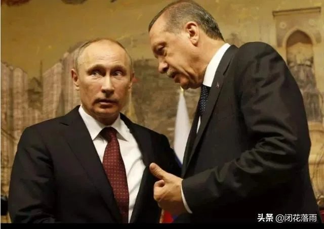 土耳其军事行动的感想