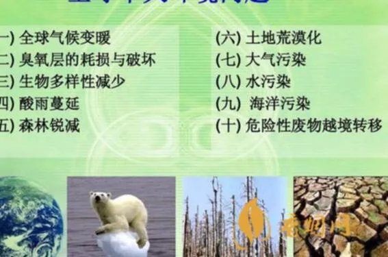 水天下白酒价格：从大环境、品牌、口感三方面探讨