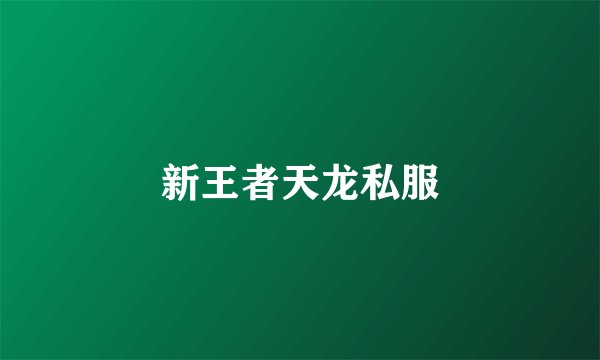 新王者天龙私服