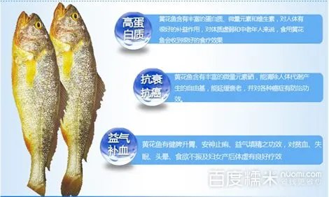 968111海都购物网的介绍