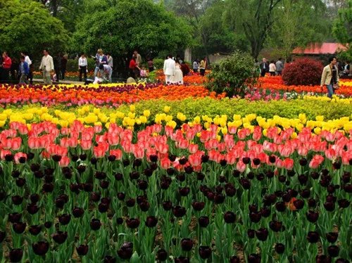 西安婚纱照哪家好  西安哪里拍婚纱照好看