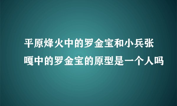 平原烽火中的罗金宝和小兵张嘎中的罗金宝的原型是一个人吗
