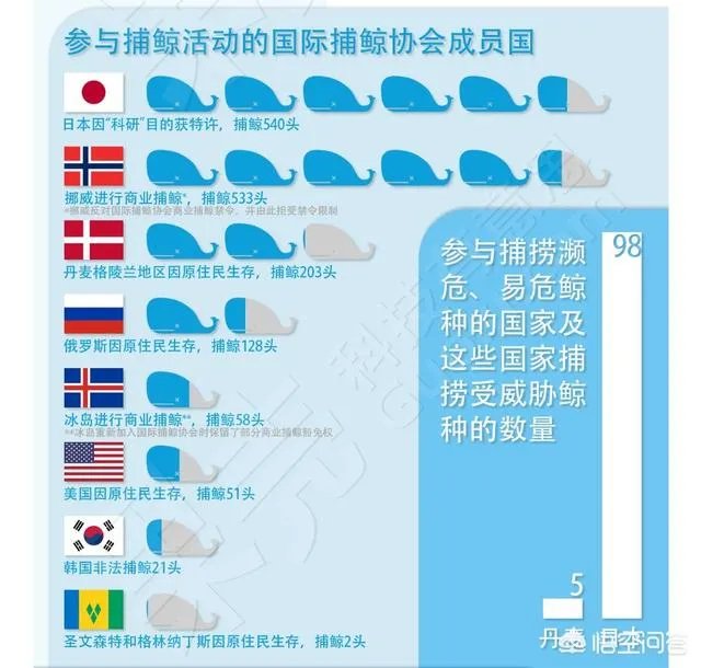 如何看待日本宣布退出国际捕鲸协会？日本为何非要商业捕鲸？